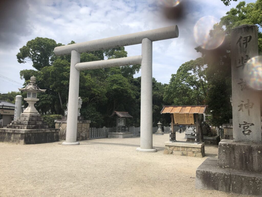 鳥居と光